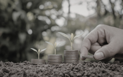 La importancia de mover dinero continuamente